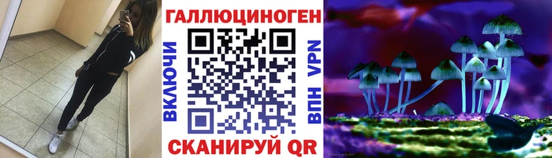 Псилоцибиновые грибы Psilocybe  Шуя 